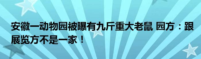 安徽一动物园被曝有九斤重大老鼠 园方：跟展览方不是一家！
