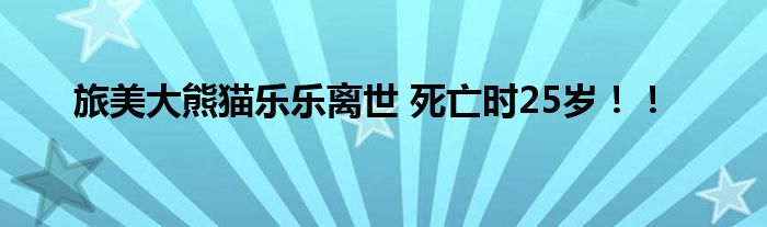 旅美大熊猫乐乐离世 死亡时25岁！！
