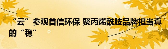 “云”参观首信环保 聚丙烯酰胺品牌担当真的“稳”