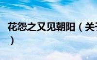 花怨之又见朝阳（关于花怨之又见朝阳的简介）