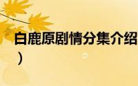 白鹿原剧情分集介绍（白鹿原1-5集分集介绍）