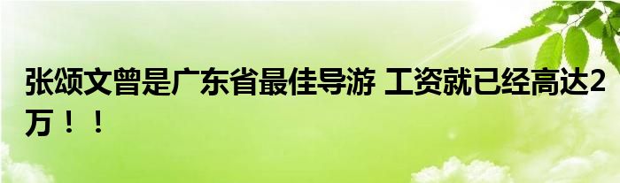 张颂文曾是广东省最佳导游 工资就已经高达2万！！