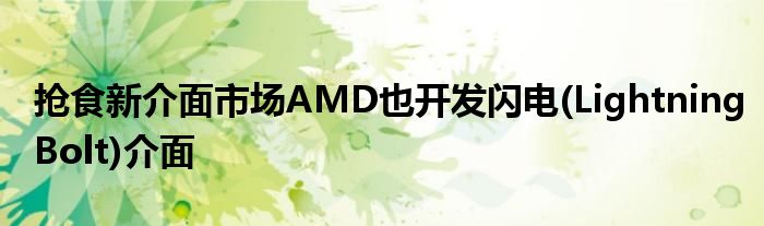 抢食新介面市场AMD也开发闪电(LightningBolt)介面