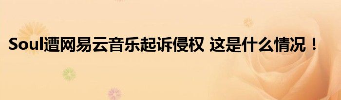 Soul遭网易云音乐起诉侵权 这是什么情况！