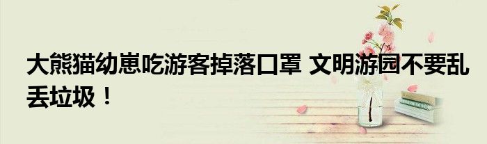 大熊猫幼崽吃游客掉落口罩 文明游园不要乱丢垃圾！
