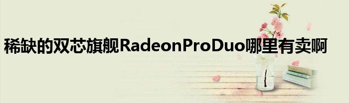 稀缺的双芯旗舰RadeonProDuo哪里有卖啊