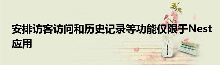 安排访客访问和历史记录等功能仅限于Nest应用