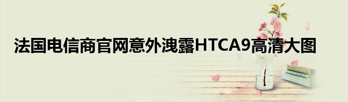 法国电信商官网意外洩露HTCA9高清大图