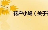 花户小鸠（关于花户小鸠的简介）