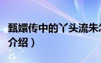 甄嬛传中的丫头流朱怎么死的（甄嬛传发剧情介绍）
