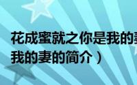 花成蜜就之你是我的妻（关于花成蜜就之你是我的妻的简介）