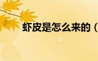 虾皮是怎么来的（虾皮其实是什么）