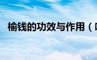 榆钱的功效与作用（吃榆钱的好处是什么）