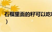 石榴里面的籽可以吃吗（石榴里面的籽能吃吗）