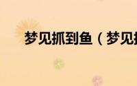 梦见抓到鱼（梦见抓到鱼是什么征兆）