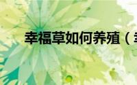 幸福草如何养殖（幸福草的养殖方法）