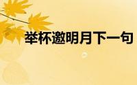 举杯邀明月下一句（月下独酌的原文）