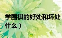 学围棋的好处和坏处（学围棋的好处和坏处是什么）