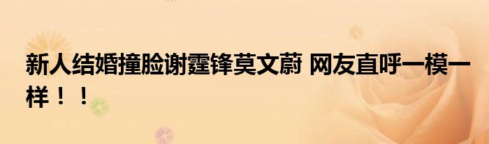 新人结婚撞脸谢霆锋莫文蔚 网友直呼一模一样！！