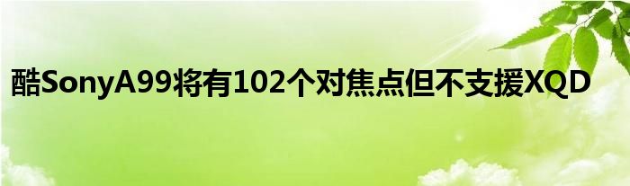 酷SonyA99将有102个对焦点但不支援XQD