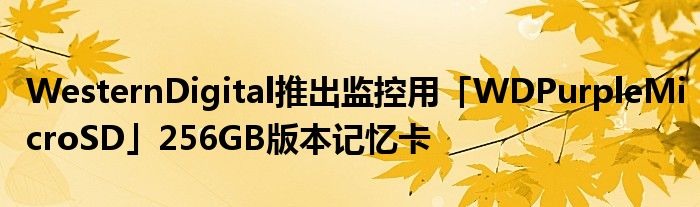 WesternDigital推出监控用「WDPurpleMicroSD」256GB版本记忆卡