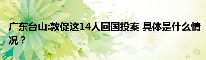 广东台山:敦促这14人回国投案 具体是什么情况？
