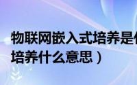 物联网嵌入式培养是什么意思（物联网嵌入式培养什么意思）