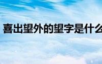 喜出望外的望字是什么意思（喜出望外造句）
