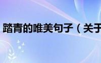 踏青的唯美句子（关于踏青的唯美句子大全）