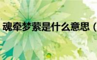 魂牵梦萦是什么意思（有哪些意思相近的词）