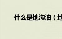 什么是地沟油（地沟油可以食用吗）