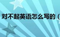 对不起英语怎么写的（对不起英语如何写的）