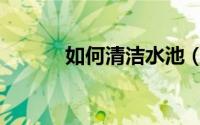 如何清洁水池（怎么清洗水池）