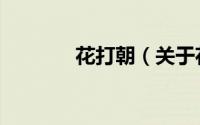 花打朝（关于花打朝的简介）