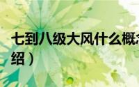 七到八级大风什么概念（七到八级大风简单介绍）
