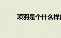 项羽是个什么样的人（项羽简述）