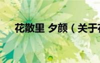 花散里 夕颜（关于花散里 夕颜的简介）