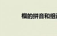 榴的拼音和组词（榴的意思）