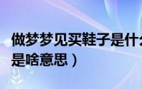 做梦梦见买鞋子是什么意思（做梦梦见买鞋子是啥意思）