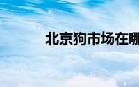 北京狗市场在哪里（有这几个）