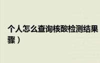 个人怎么查询核酸检测结果（个人查询核酸检测结果操作步骤）