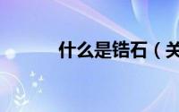 什么是锆石（关于锆石的简介）