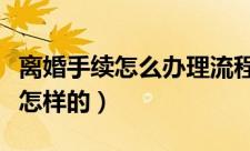 离婚手续怎么办理流程（办理离婚手续流程是怎样的）