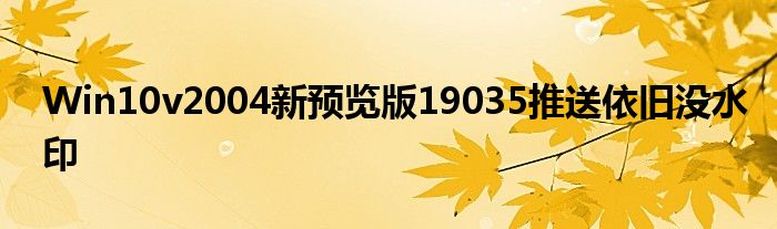Win10v2004新预览版19035推送依旧没水印
