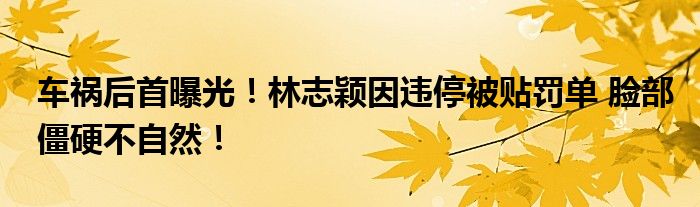 车祸后首曝光！林志颖因违停被贴罚单 脸部僵硬不自然！