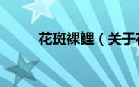 花斑裸鲤（关于花斑裸鲤的简介）