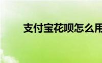 支付宝花呗怎么用（花呗使用方法）