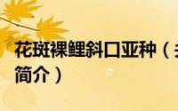 花斑裸鲤斜口亚种（关于花斑裸鲤斜口亚种的简介）