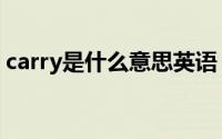 carry是什么意思英语（单词carry什么意思）