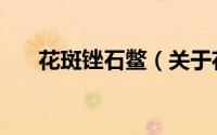 花斑锉石鳖（关于花斑锉石鳖的简介）